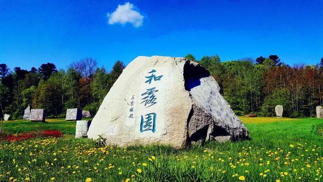 燃烧吧大脑免广告最新版