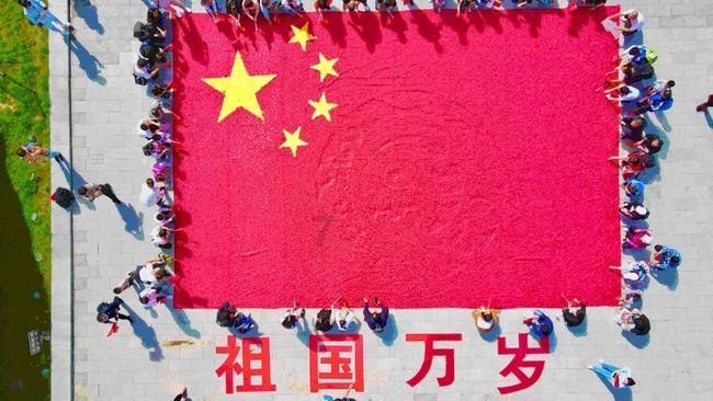 普洱茶:养生之道还是时尚消费品?探索中医技术与文化的多面性!